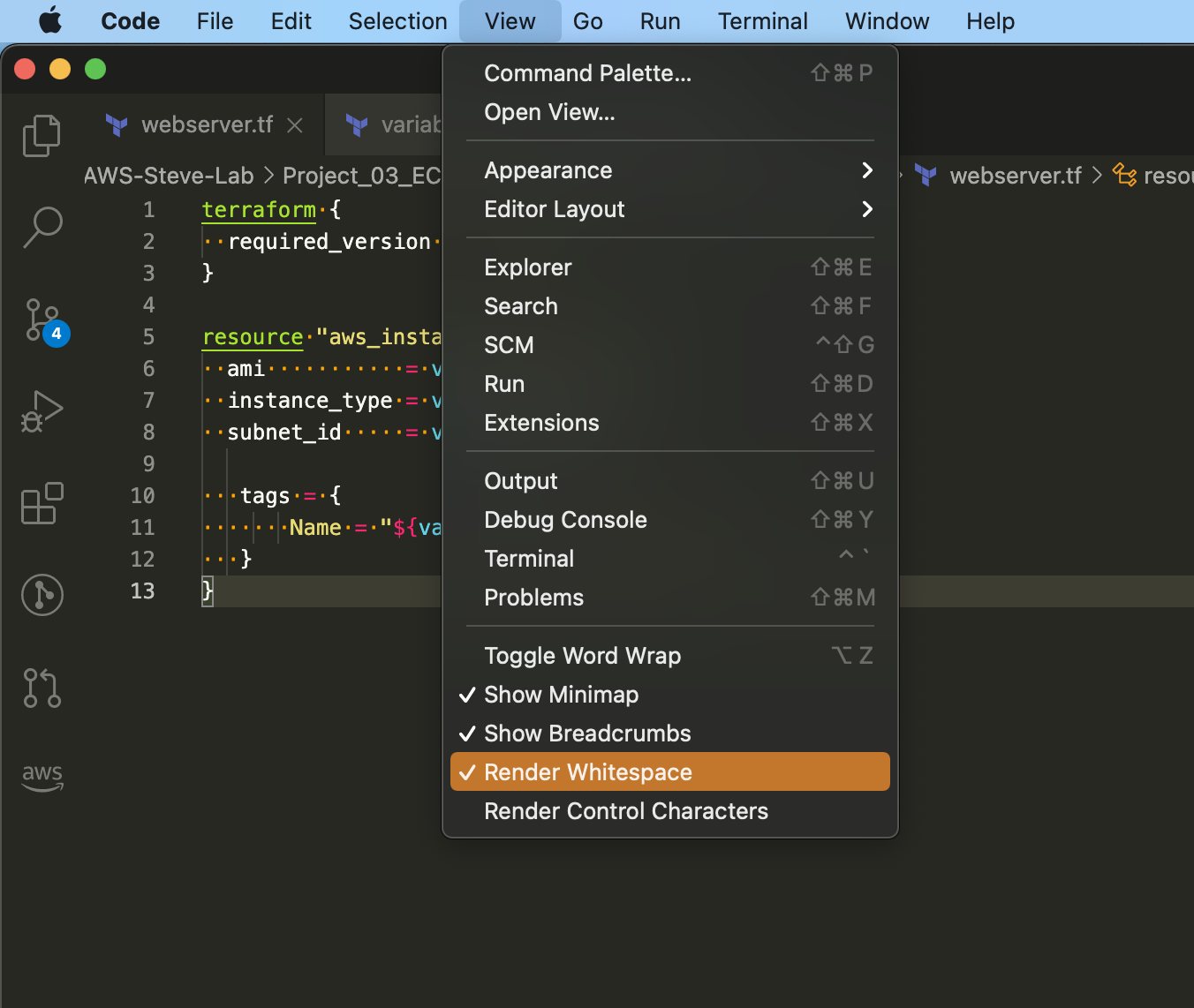 Whitespace in VS Code - The Network Transit